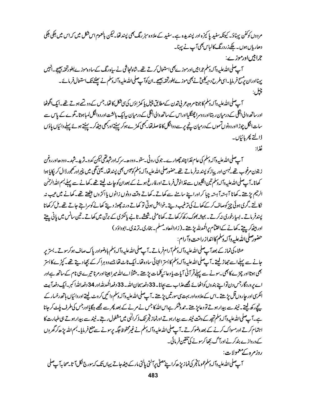 صفحہ 495